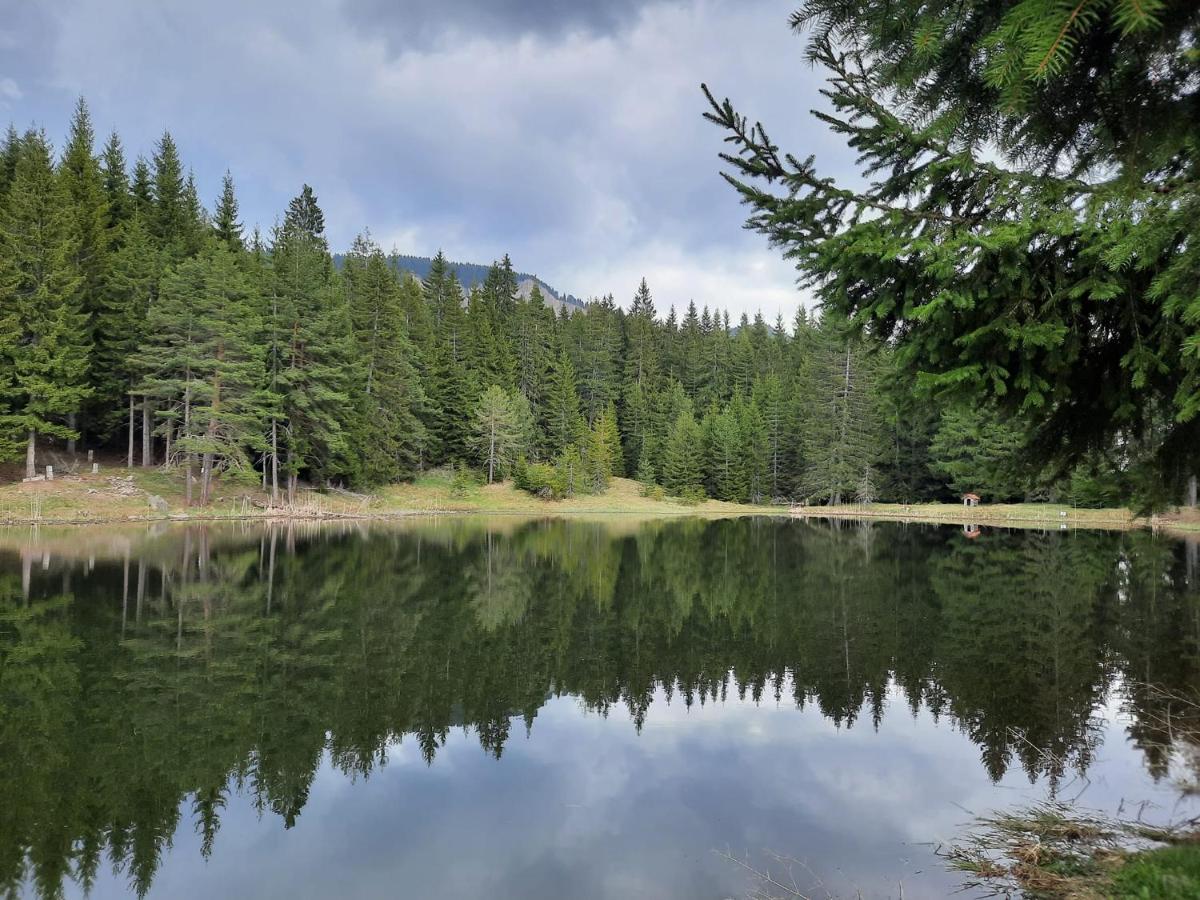 Утро Без Аларма, Смолянски Езера. Alarm Free Morning Smolyan Lakes ภายนอก รูปภาพ