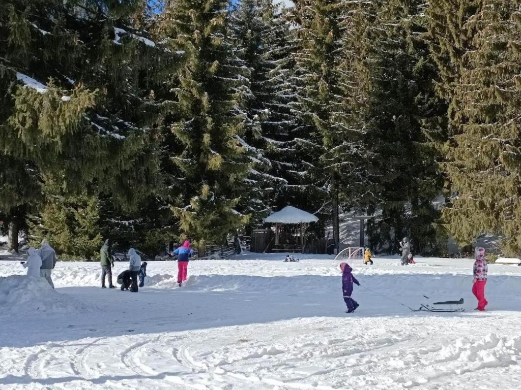 Утро Без Аларма, Смолянски Езера. Alarm Free Morning Smolyan Lakes ภายนอก รูปภาพ